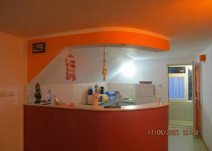 Mihai Alloggio in famiglia *